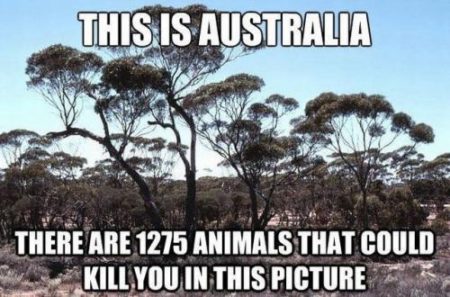 australia-kills-you