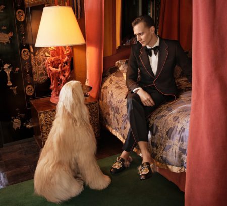 tom-hiddleston-stars-in-new-gucci-campaign-with-two-dogs-03